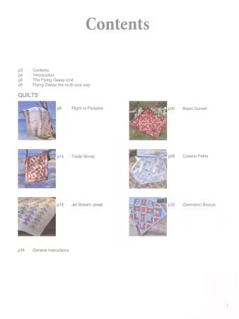 Flying Geese Multi-Size - By Pam & Nicky Lintott Softcover - BOOK - PAPER/PRINTED