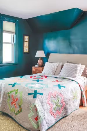 Not-Your-Typical Jelly Roll Quilts By Michelle Lander Cain - BOOK - PAPER/PRINTED