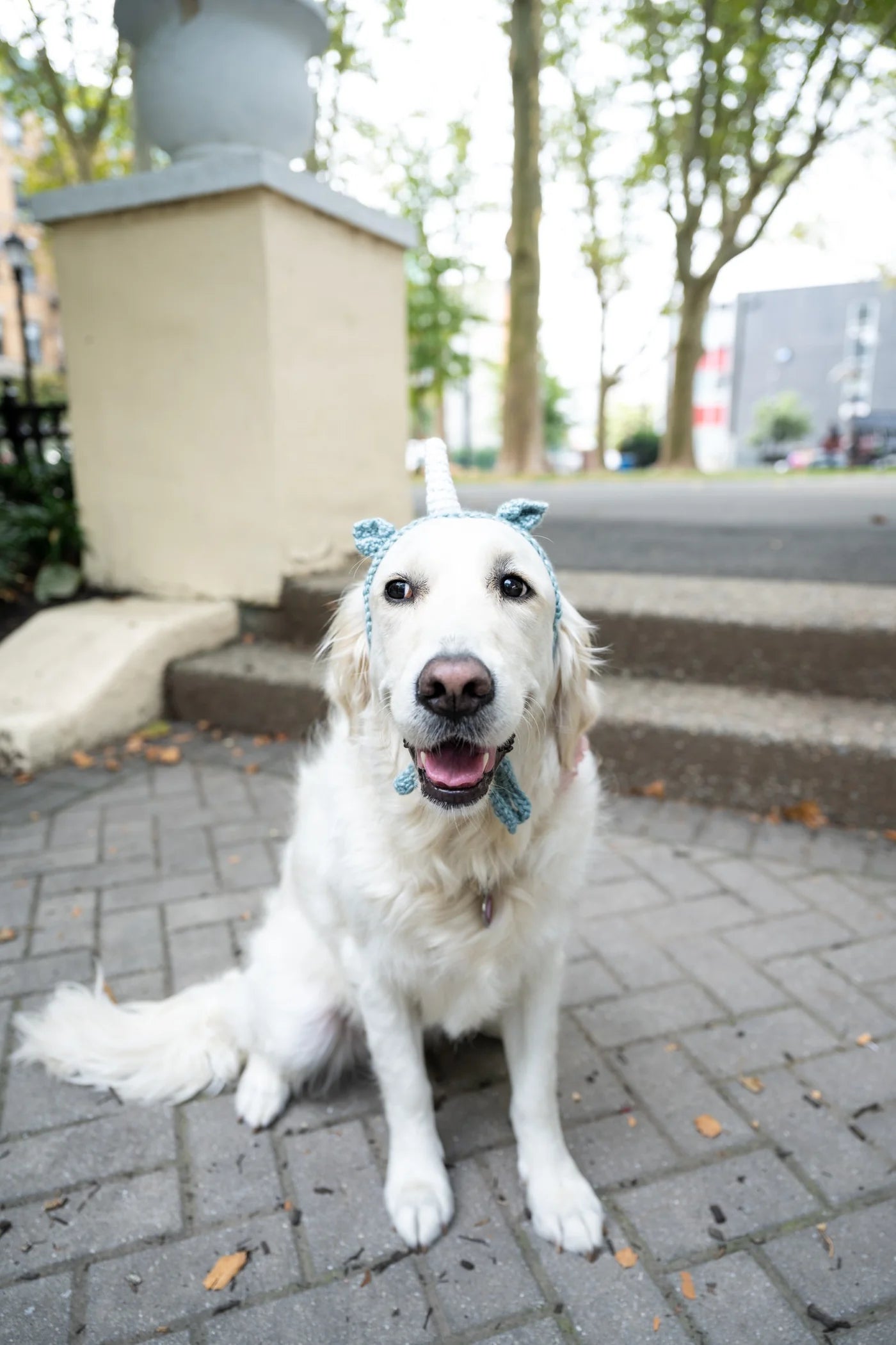 Riley Unicorn Headband (Crochet) From Lion Brand Yarn - FREE DIGITAL