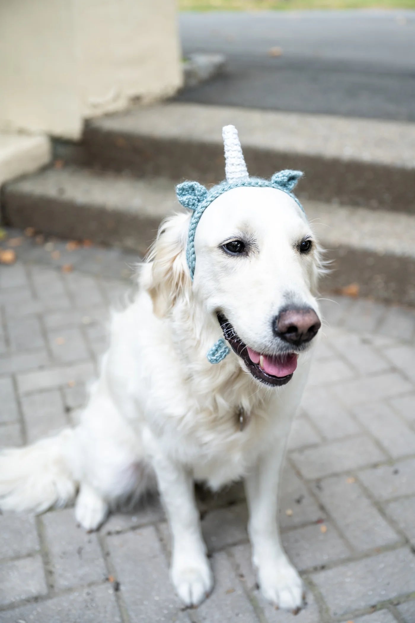 Riley Unicorn Headband (Crochet) From Lion Brand Yarn - FREE DIGITAL