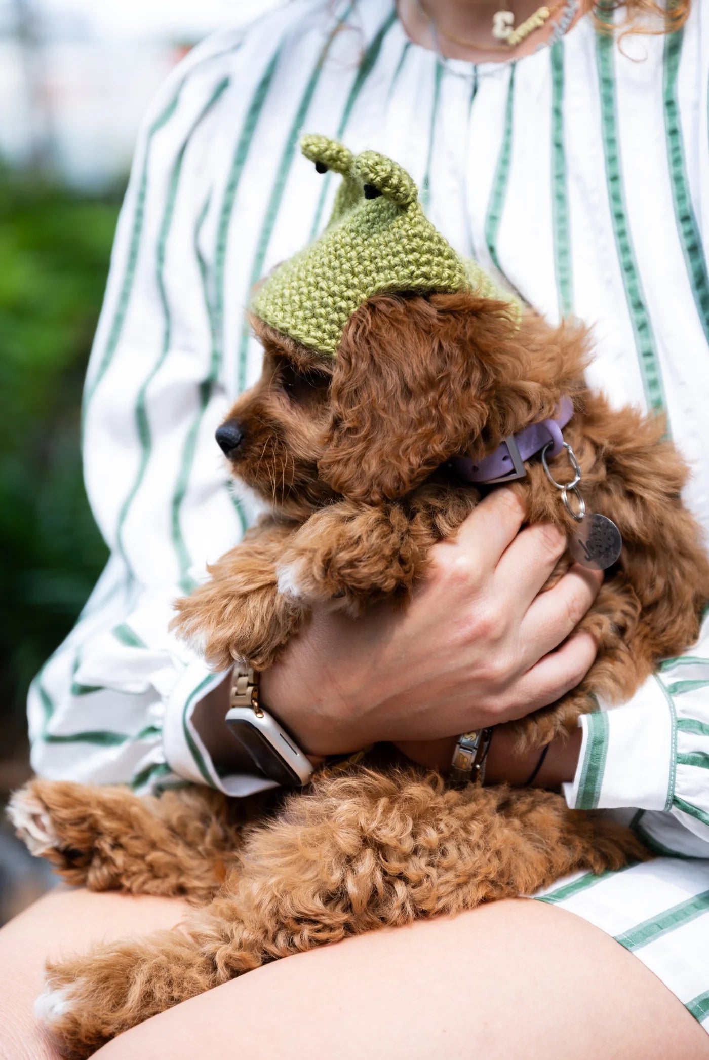 Josie Beanie (Crochet) From Lion Brand Yarn - FREE DIGITAL