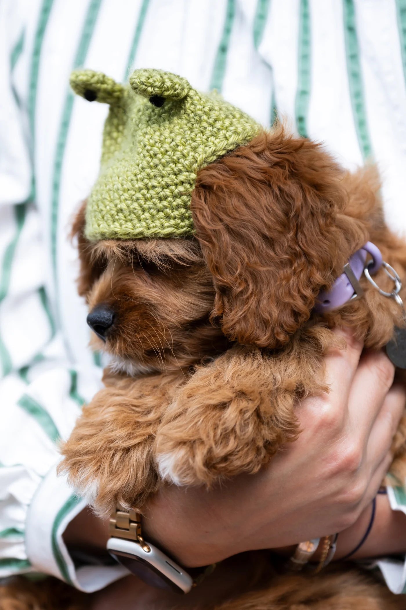 Josie Beanie (Crochet) From Lion Brand Yarn - FREE DIGITAL