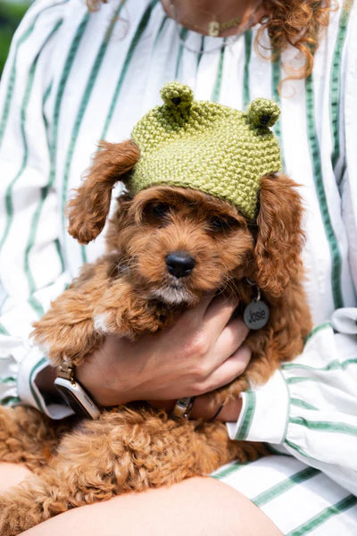 Josie Beanie (Crochet) From Lion Brand Yarn - FREE DIGITAL