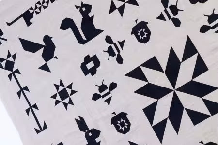 Folk Sampler The Complete Quilt Project From Art East Quilting Co. - PAPER/PRINTED