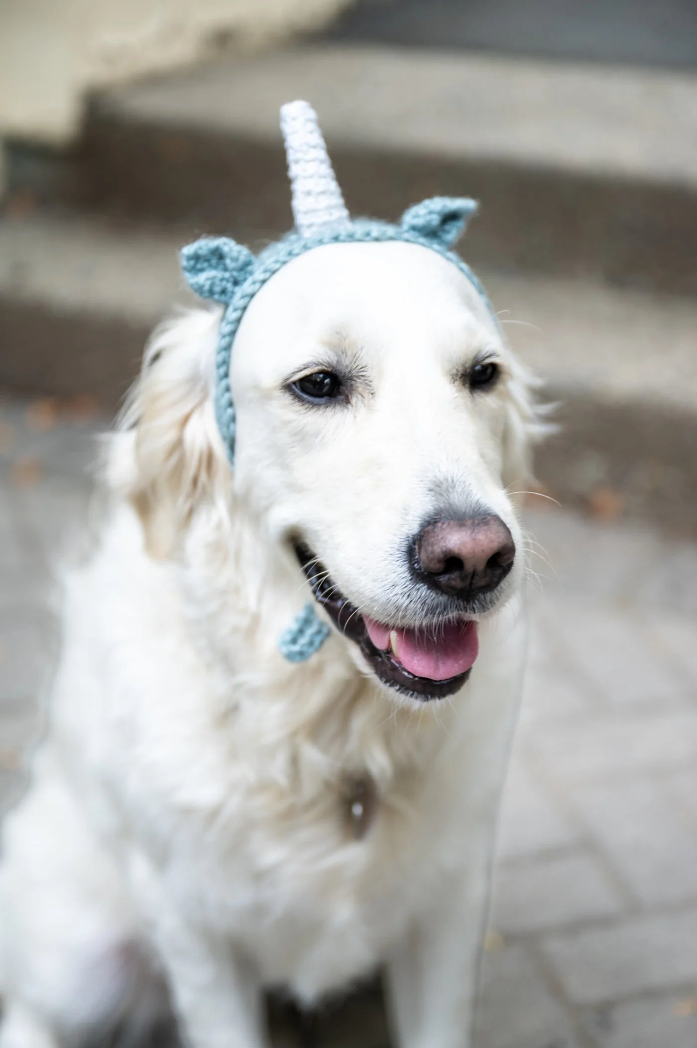 Riley Unicorn Headband (Crochet) From Lion Brand Yarn - FREE DIGITAL