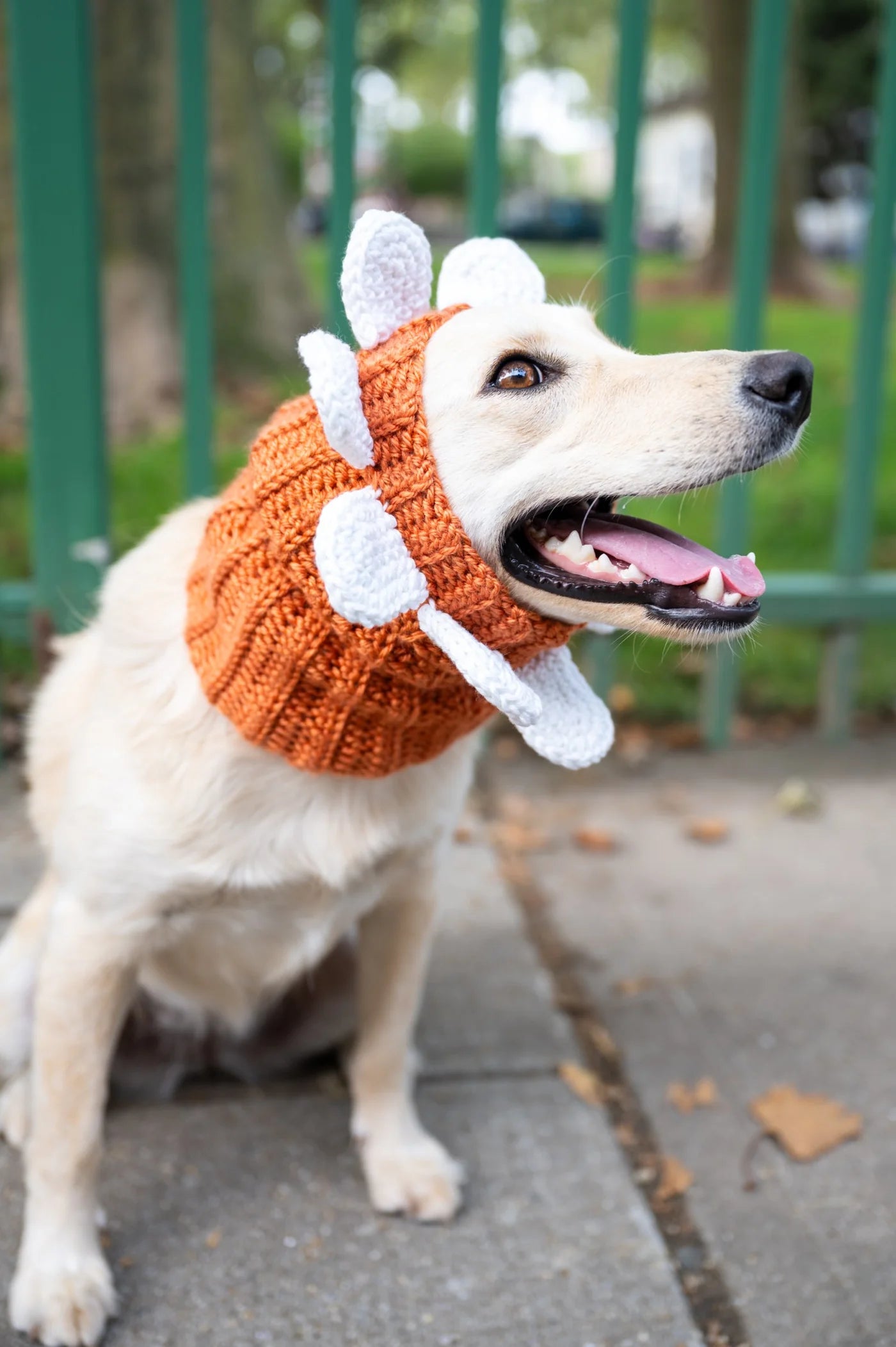 Juni Flower Cowl (Crochet) From Lion Brand Yarn - FREE DIGITAL
