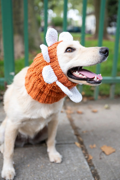 Juni Flower Cowl (Crochet) From Lion Brand Yarn - FREE DIGITAL