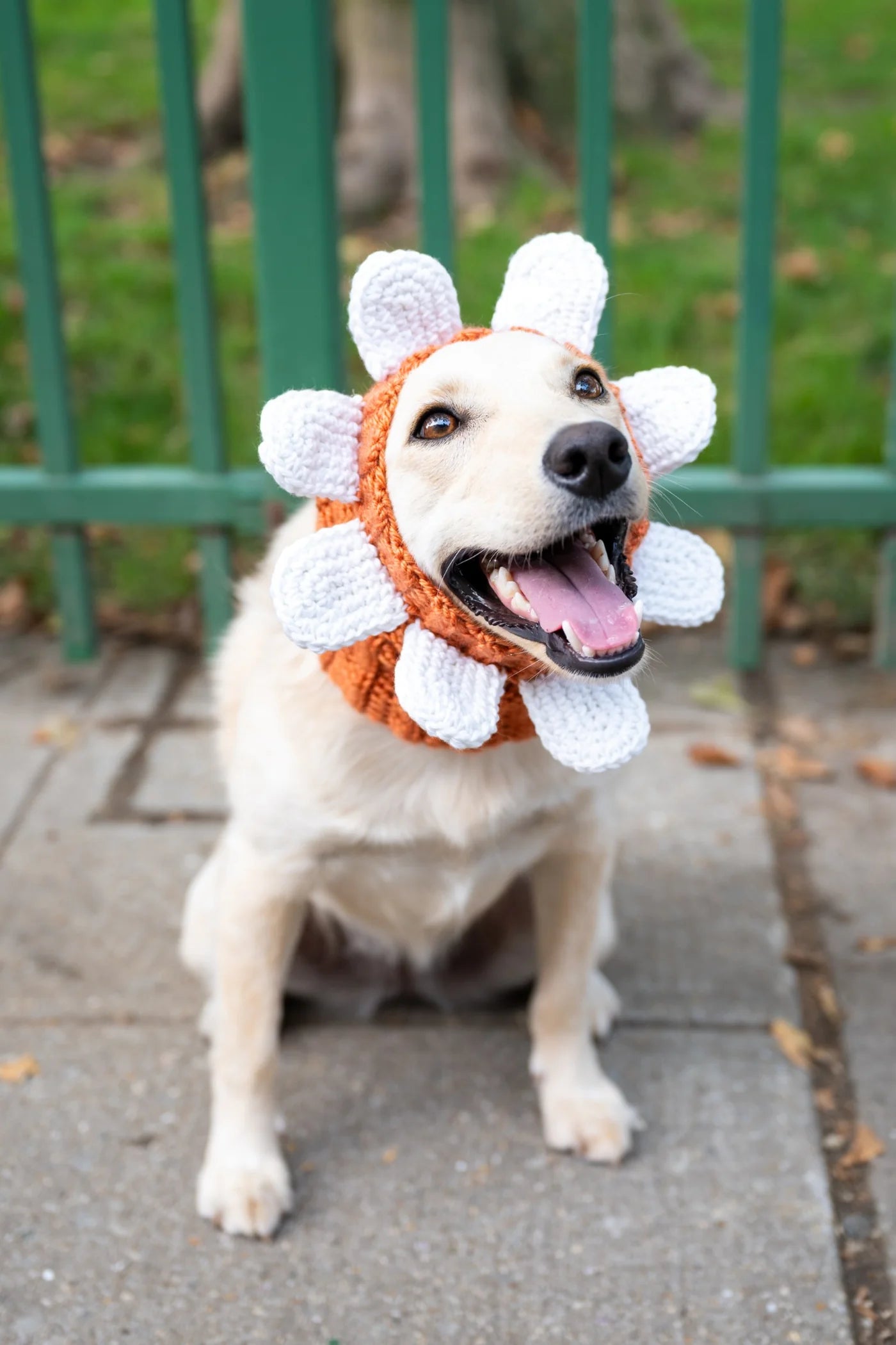 Juni Flower Cowl (Crochet) From Lion Brand Yarn - FREE DIGITAL