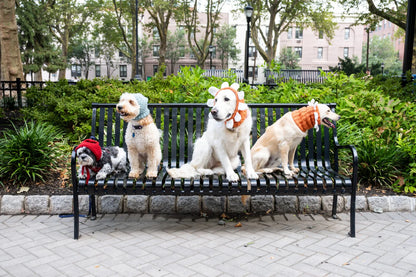 Juni Flower Cowl (Crochet) From Lion Brand Yarn - FREE DIGITAL