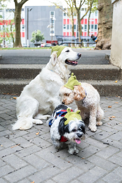 Josie Beanie (Crochet) From Lion Brand Yarn - FREE DIGITAL